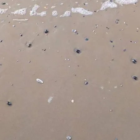 Дом отдыха Luxueuze Stacaravan 4pers Met Terras En Tuintje Бреден